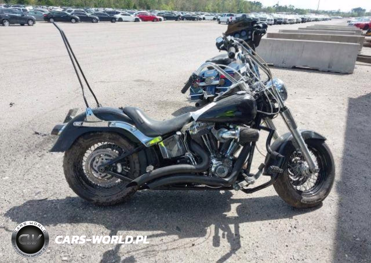 2008 Harley-Davidson Flstf VIN:5HD1BX51X8Y010662 - 11