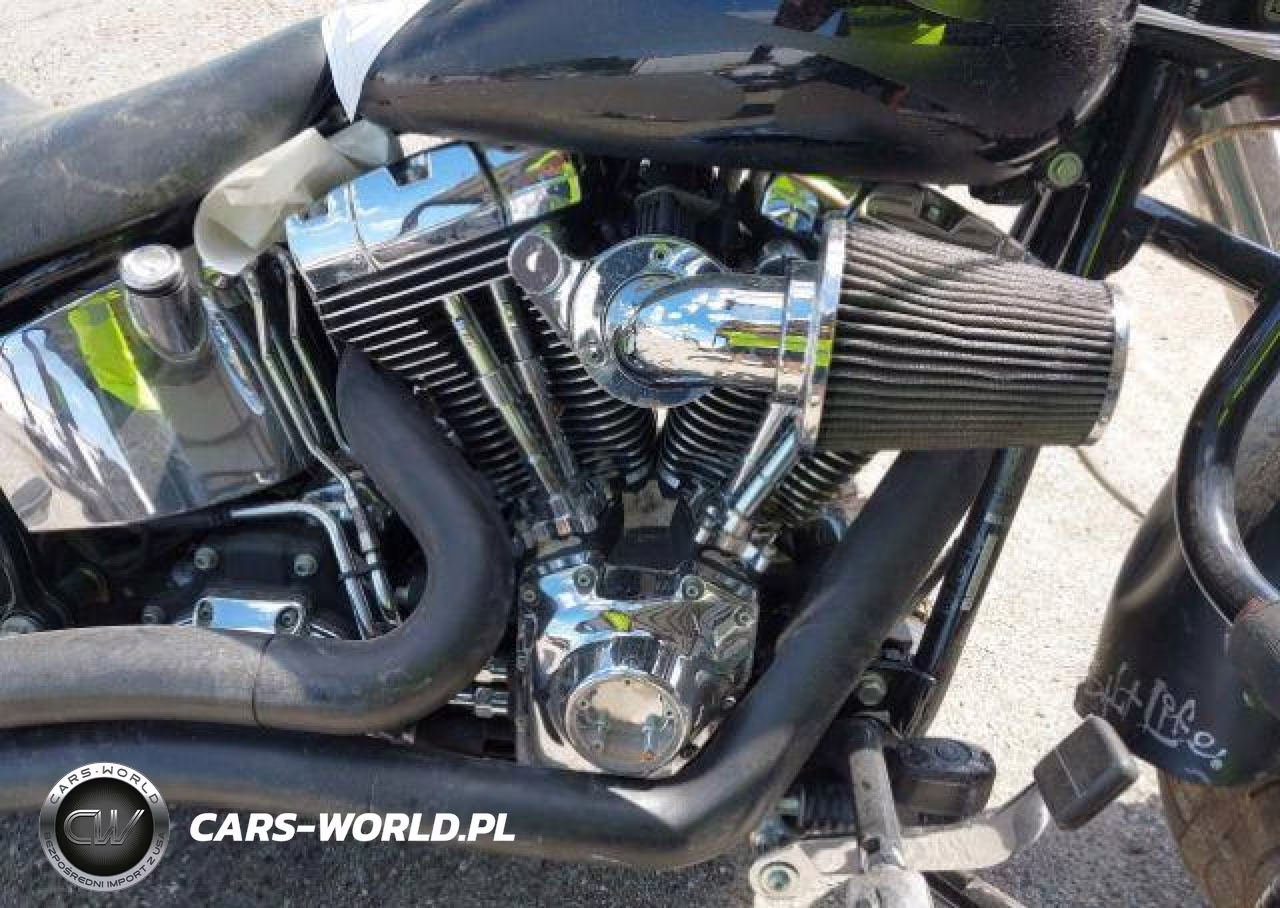 2008 Harley-Davidson Flstf VIN:5HD1BX51X8Y010662 - 8
