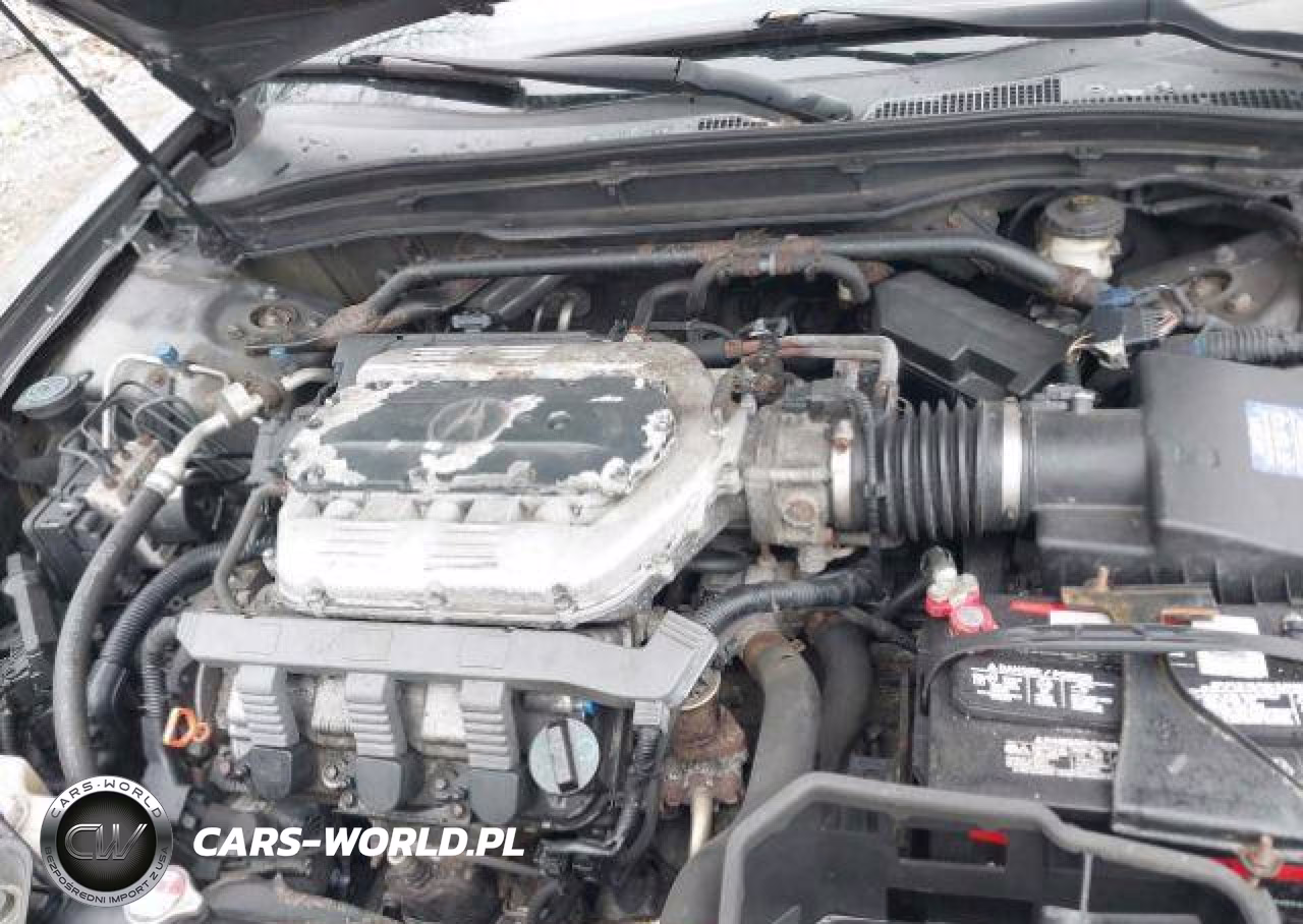 2009 Acura Tl VIN:19UUA96529A800149 - 11