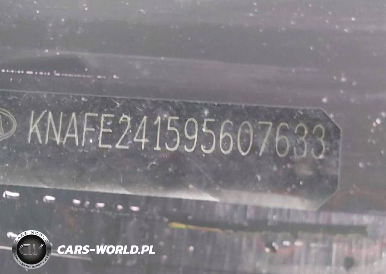 2009 Kia Spectra Sx VIN:KNAFE241595607633 - 17