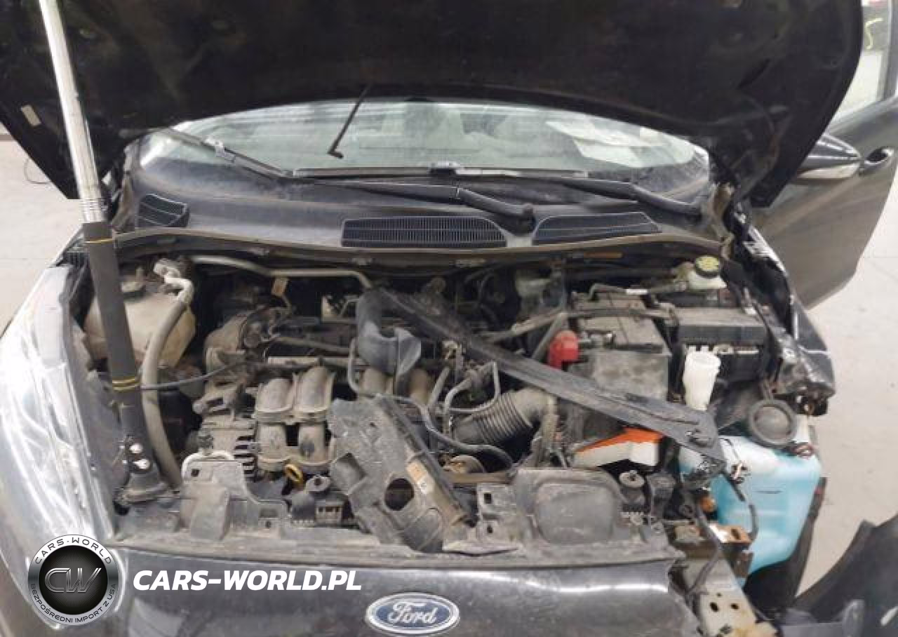 2015 Ford Fiesta Se VIN:3FADP4EJXFM209909 - 11