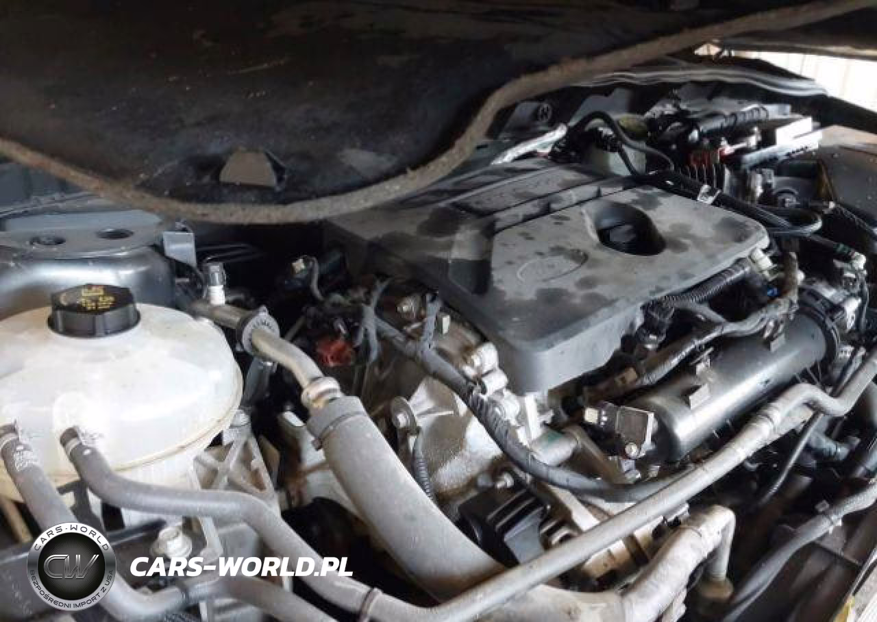 2020 Ford Ford VIN:1FMCU9G63LUA42977 - 11