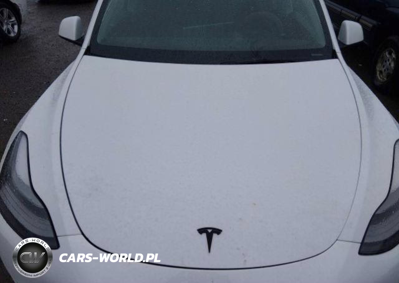 2022 Tesla Model Y VIN:7SAYGDEE3NF564456 - 11