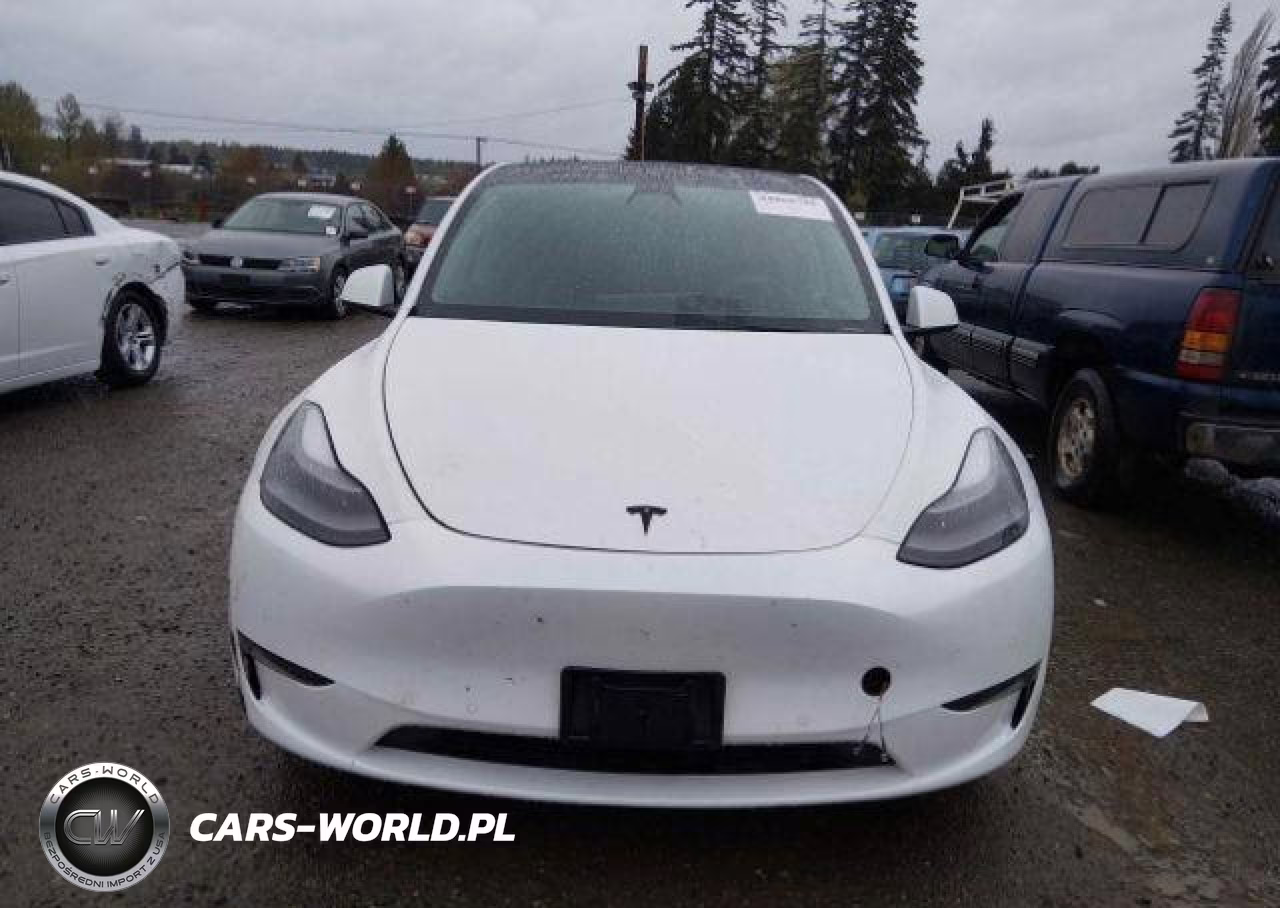 2022 Tesla Model Y VIN:7SAYGDEE3NF564456 - 13
