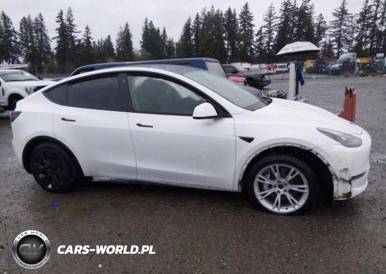 2022 Tesla Model Y VIN:7SAYGDEE3NF564456 - 14