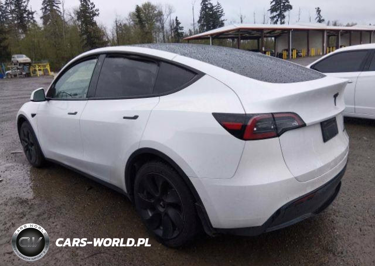 2022 Tesla Model Y VIN:7SAYGDEE3NF564456 - 15