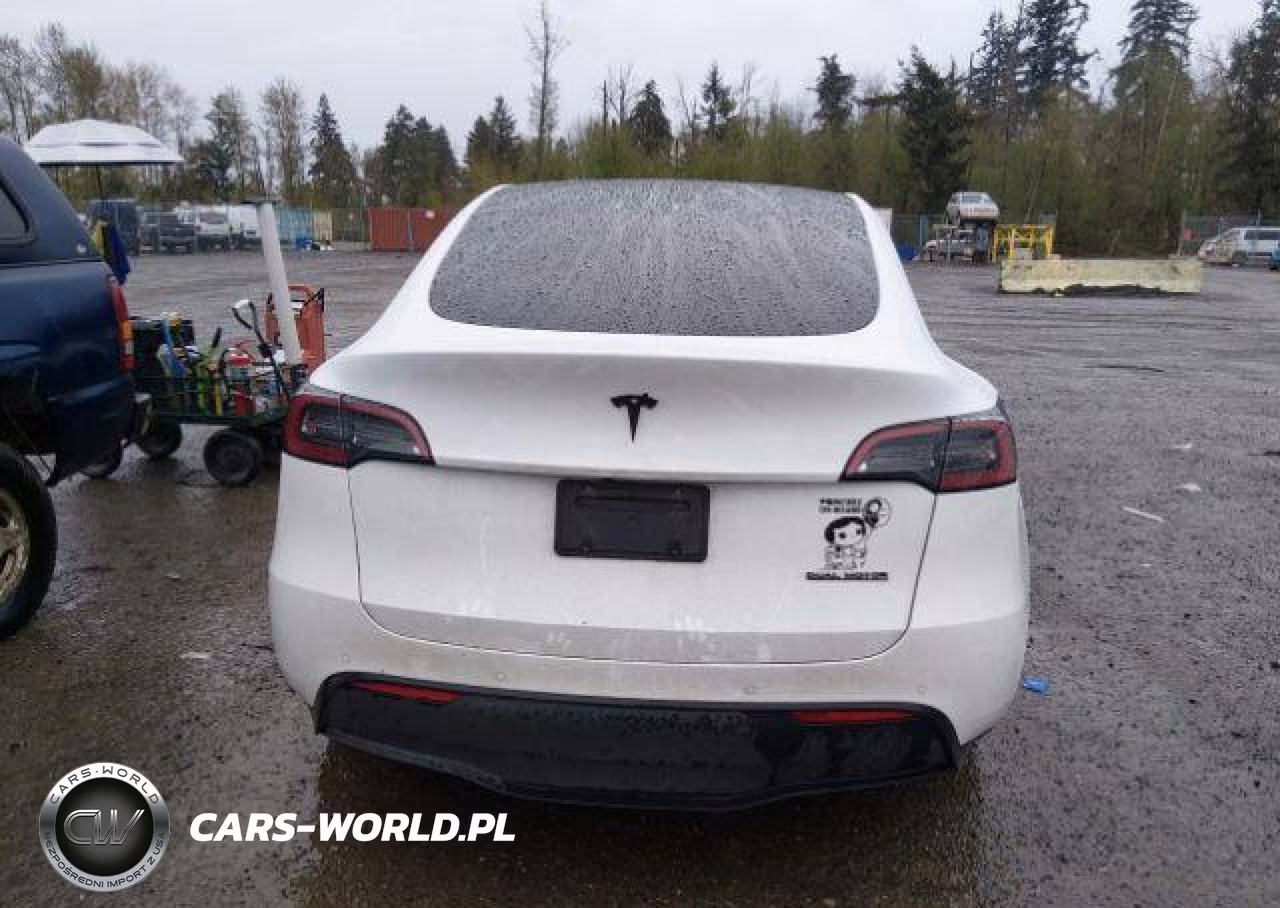 2022 Tesla Model Y VIN:7SAYGDEE3NF564456 - 17