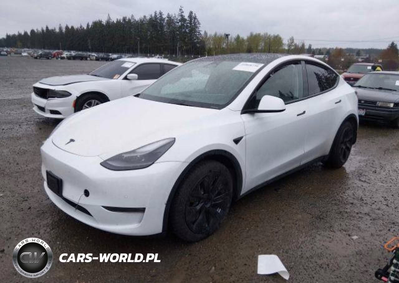 2022 Tesla Model Y VIN:7SAYGDEE3NF564456 - 3
