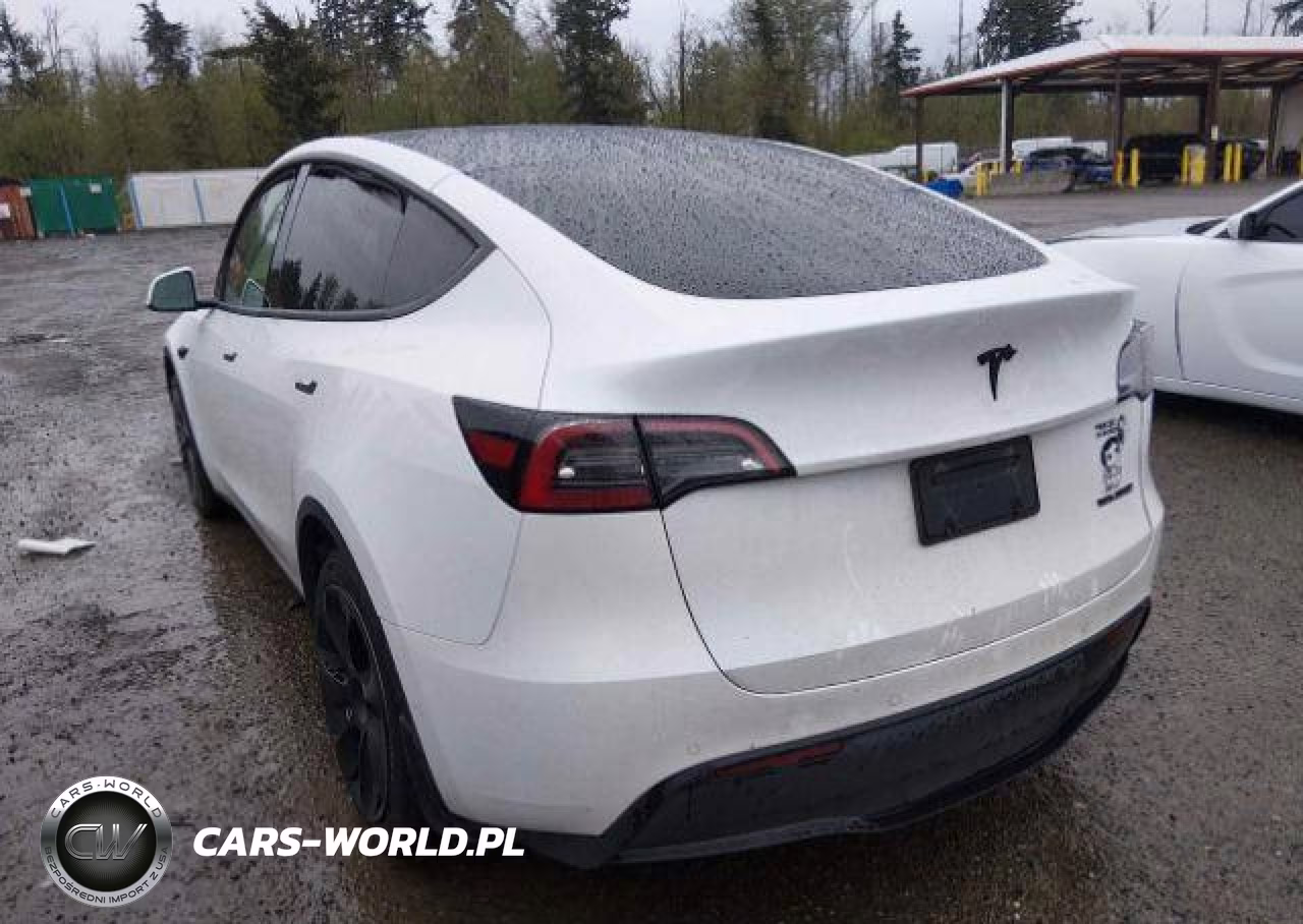 2022 Tesla Model Y VIN:7SAYGDEE3NF564456 - 4