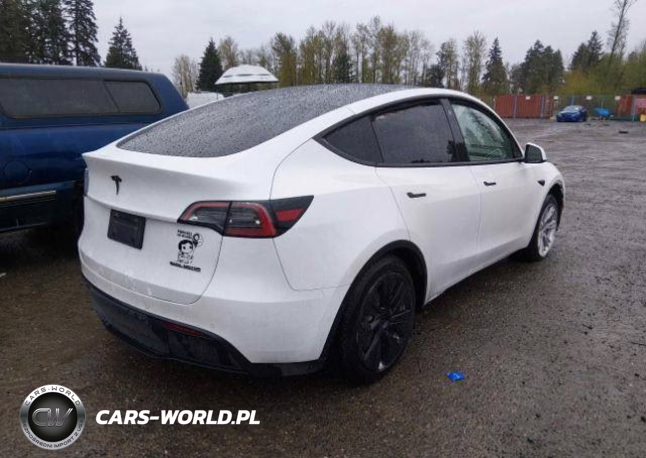 2022 Tesla Model Y VIN:7SAYGDEE3NF564456 - 5
