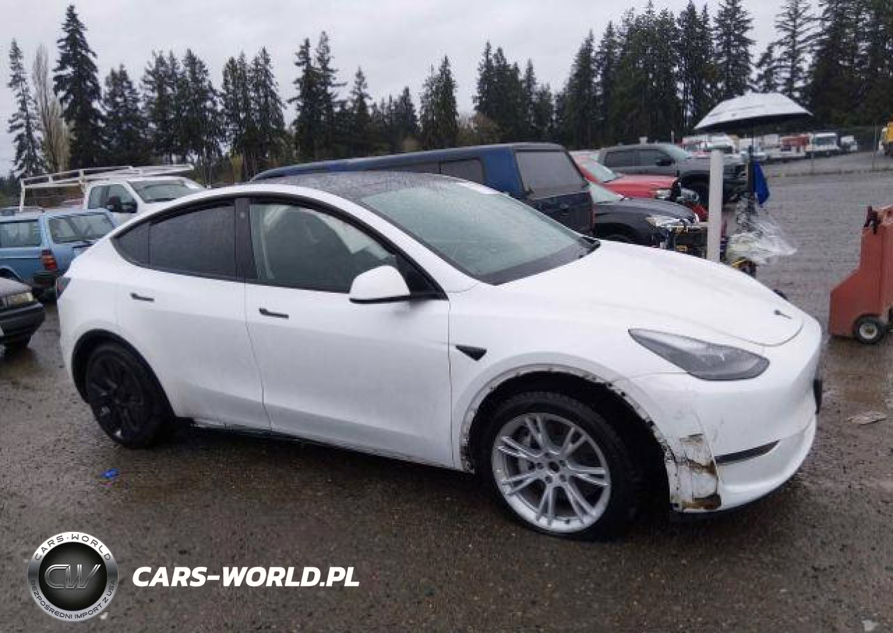 2022 Tesla Model Y VIN:7SAYGDEE3NF564456 - 7
