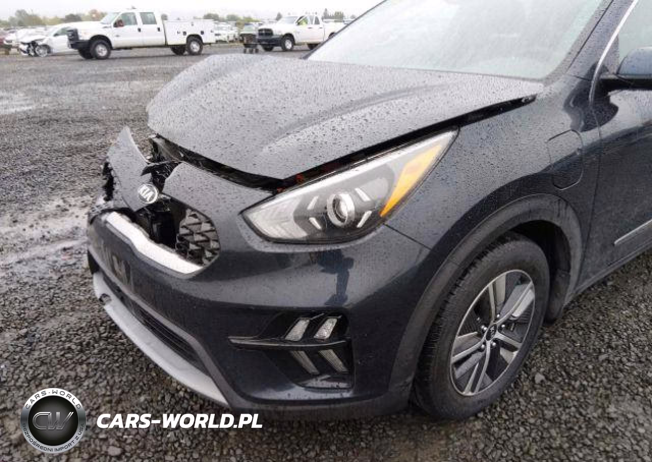 2021 Kia Niro Ex VIN:KNDCD3LD7M5471699 - 19