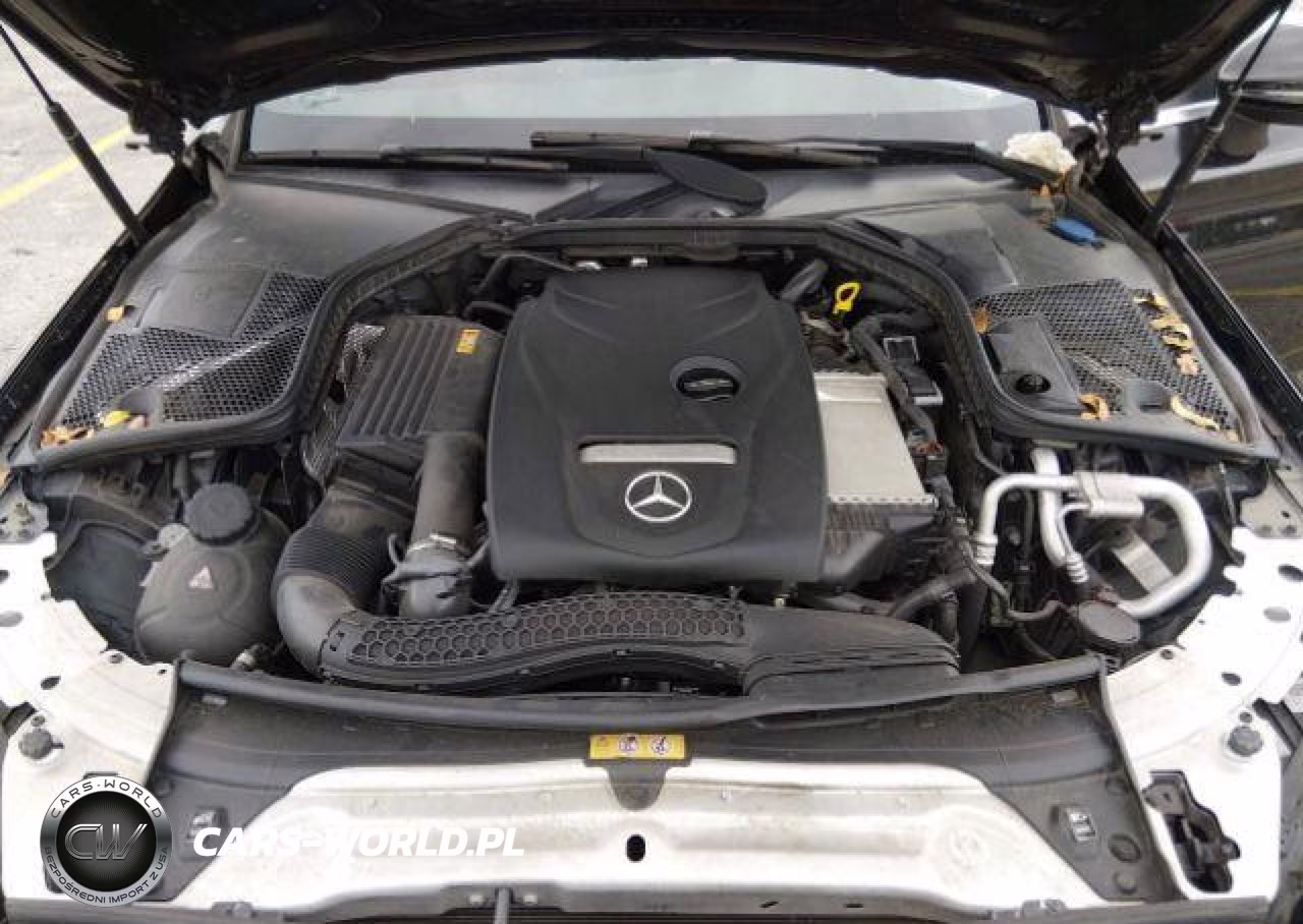 2018 Mercedes-Benz C 300 4Mati VIN:WDDWJ4KB9JF727977 - 11