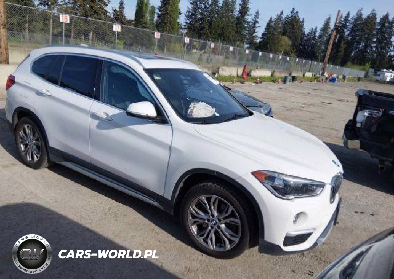 2019 BMW X1 xDrive28I – zdjęcie 1 z 18