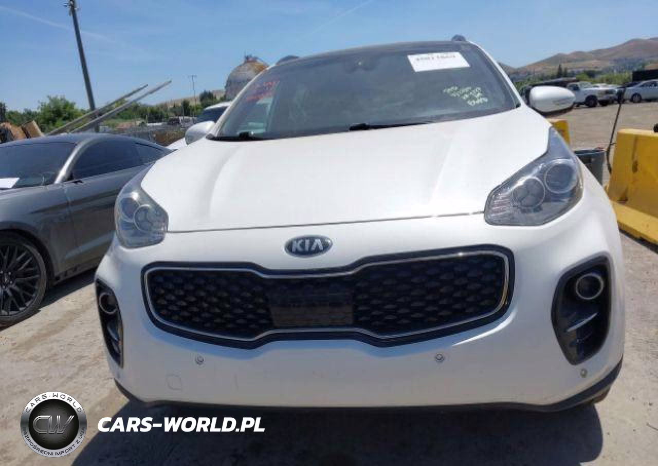 2019 Kia Sportage Ex VIN:KNDPNCAC6K7624227 - 12