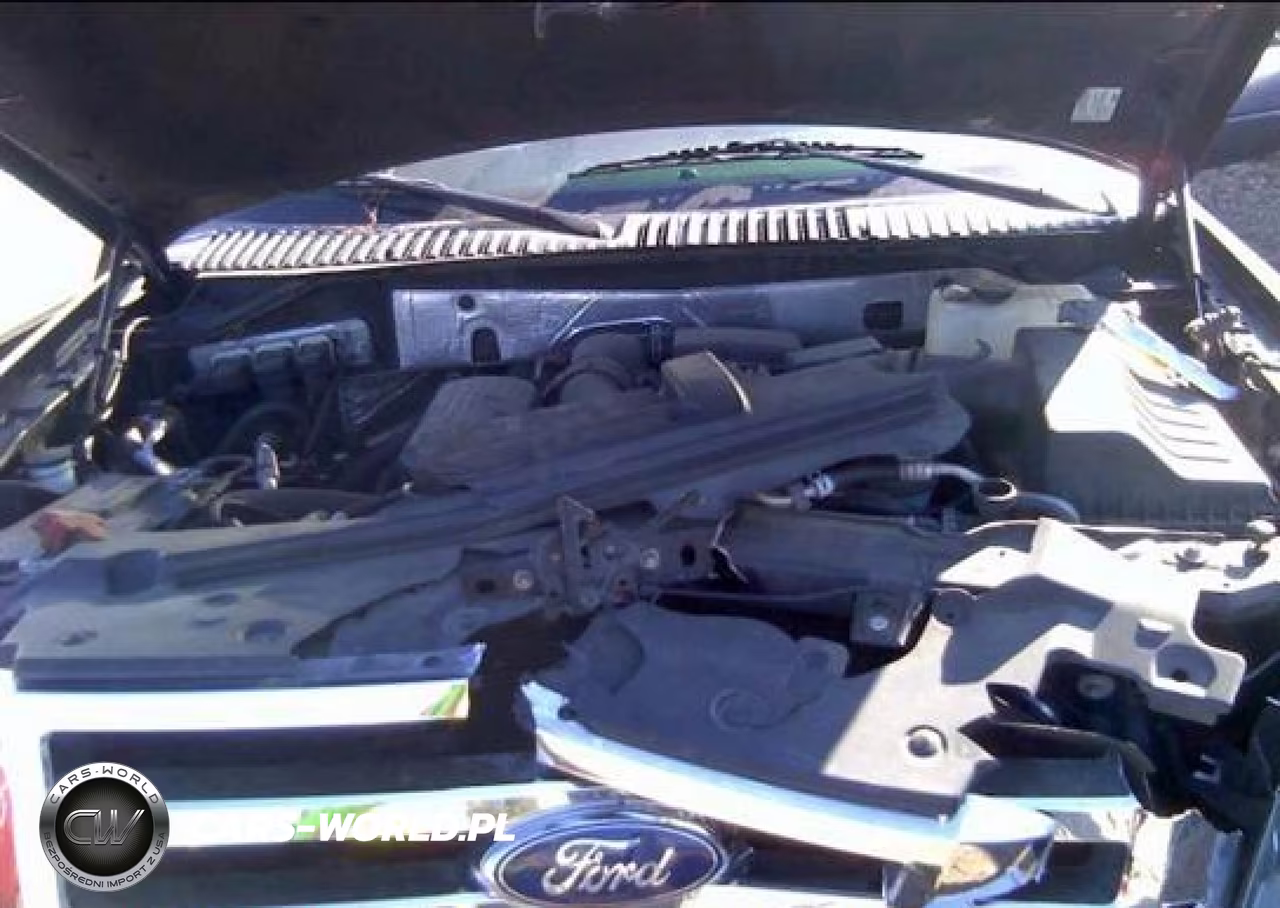 2010 Ford Expedition El Ssv-Xlt VIN:2C4RDGBGXHR876753 - 10