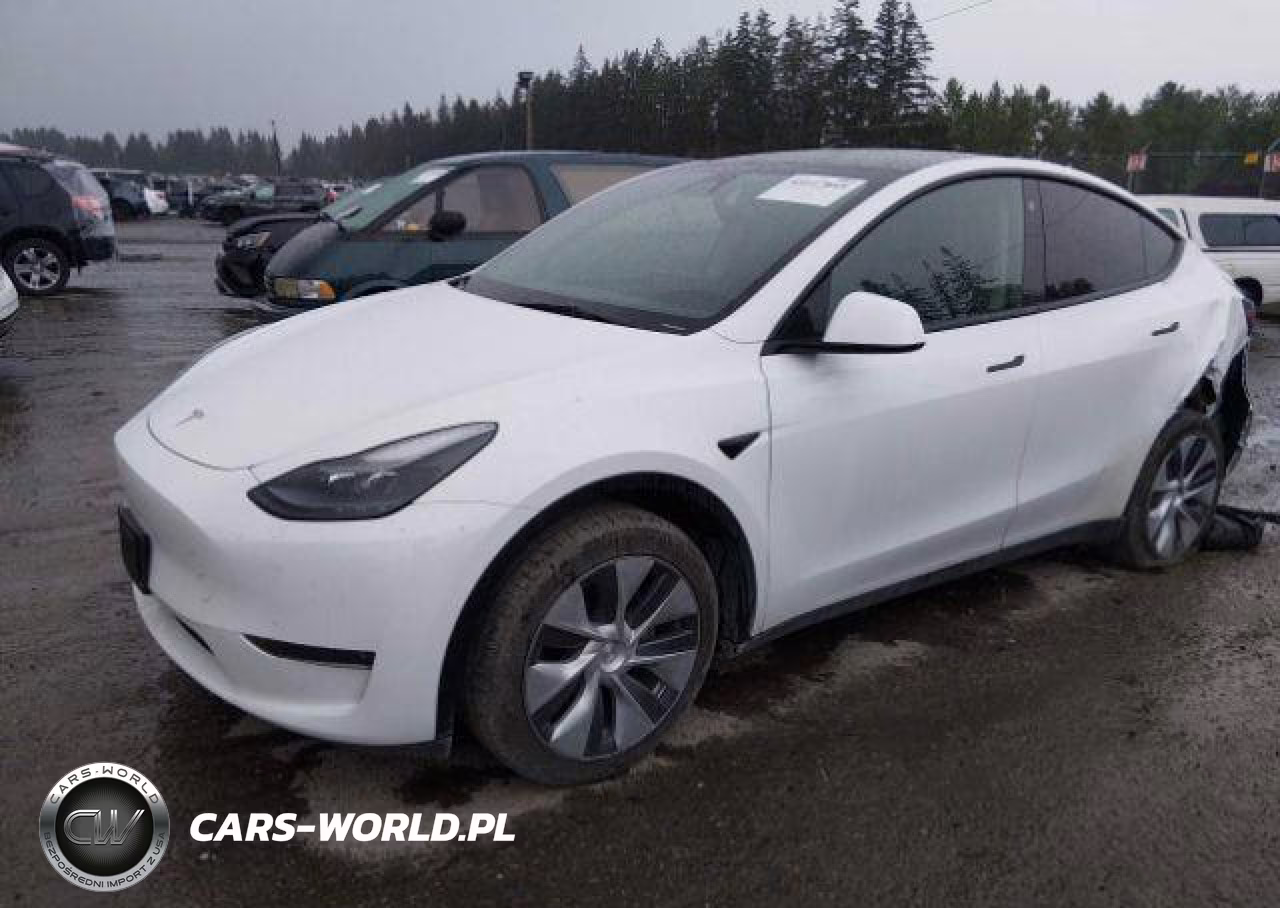 2023 Tesla Model Y VIN:LRWYGDEEXPC264911 - 3