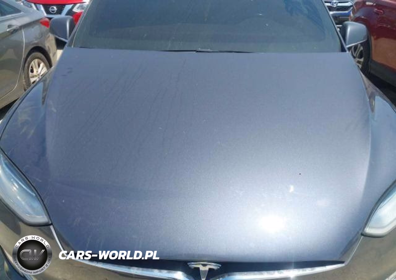 2016 Tesla Model X 60D-70D-75D-90D-P100D VIN:5YJXCBE20GF015007 - 11