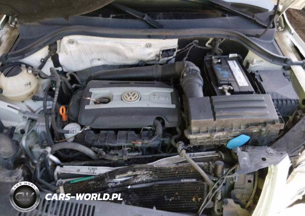 2009 Volkswagen Tiguan Se-Sel VIN:WVGBV95NX9W540612 - 11