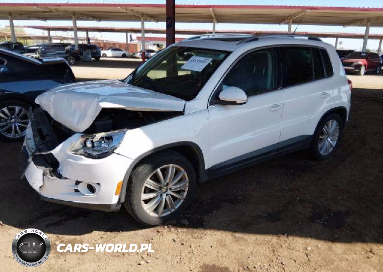 2009 Volkswagen Tiguan Se-Sel VIN:WVGBV95NX9W540612 - 3