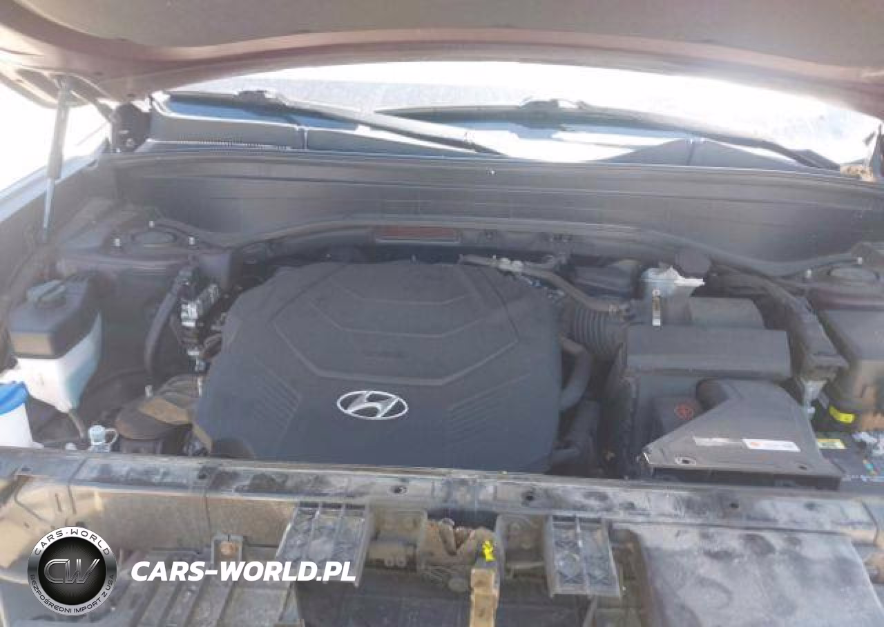 2020 Hyundai Palisade Luxury 7-Passenger Seating VIN:KM8R3DHE0LU164265 - 11