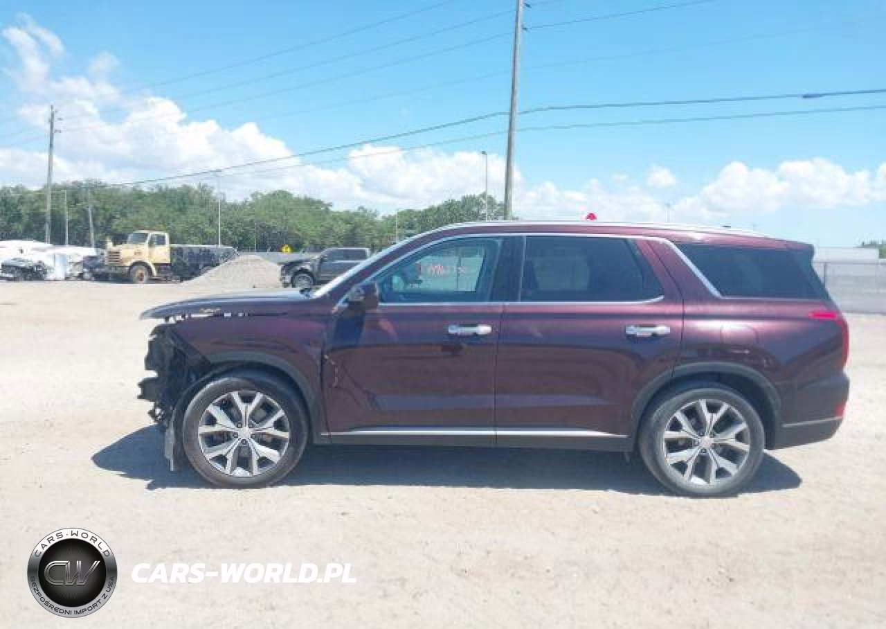 2020 Hyundai Palisade Luxury 7-Passenger Seating VIN:KM8R3DHE0LU164265 - 16