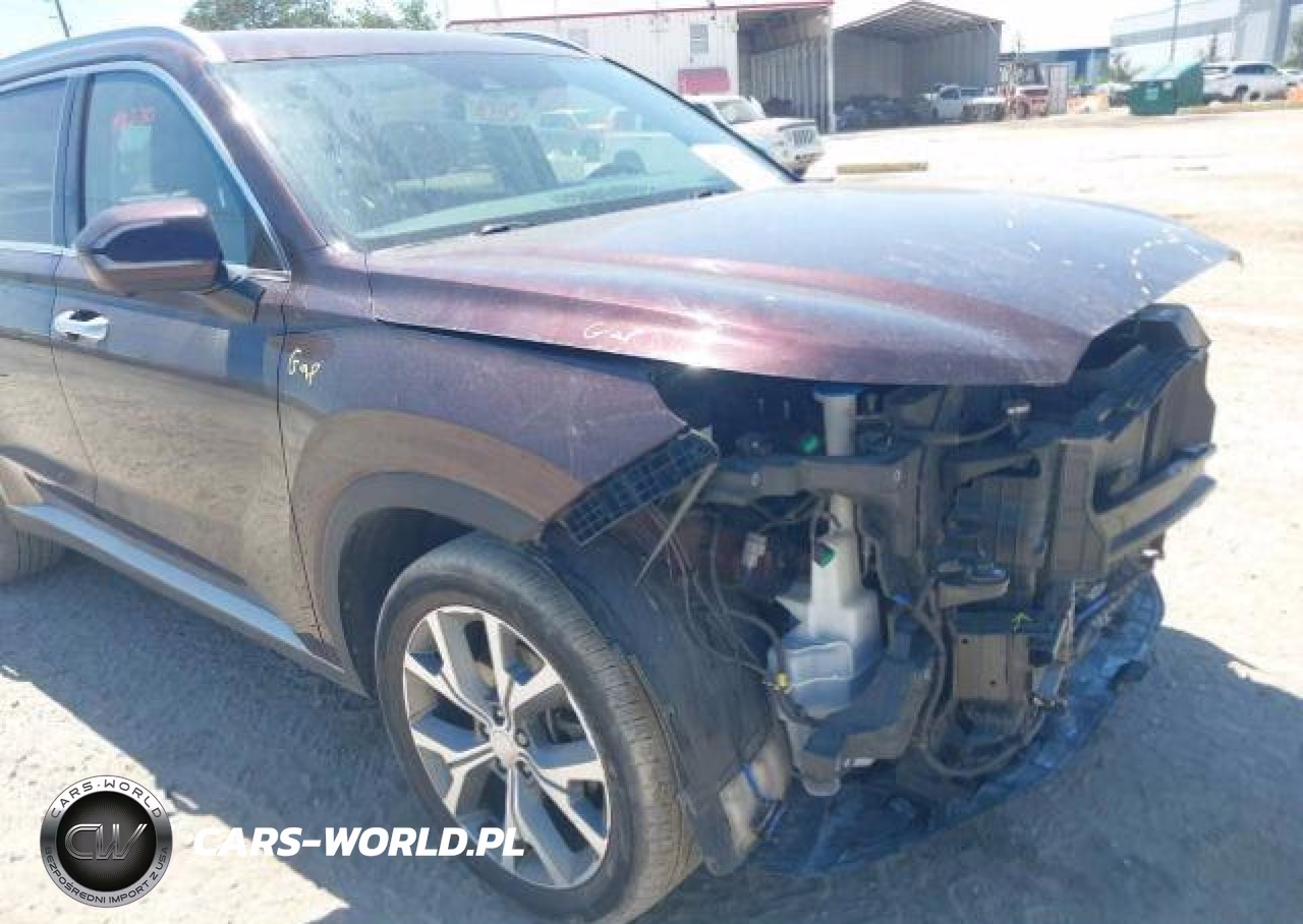 2020 Hyundai Palisade Luxury 7-Passenger Seating VIN:KM8R3DHE0LU164265 - 22