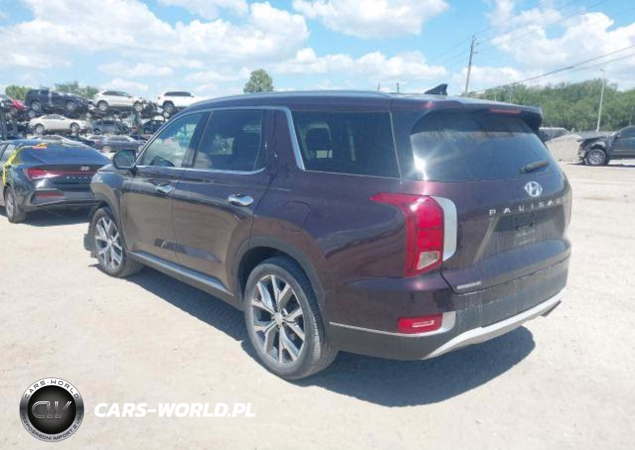 2020 Hyundai Palisade Luxury 7-Passenger Seating VIN:KM8R3DHE0LU164265 - 4