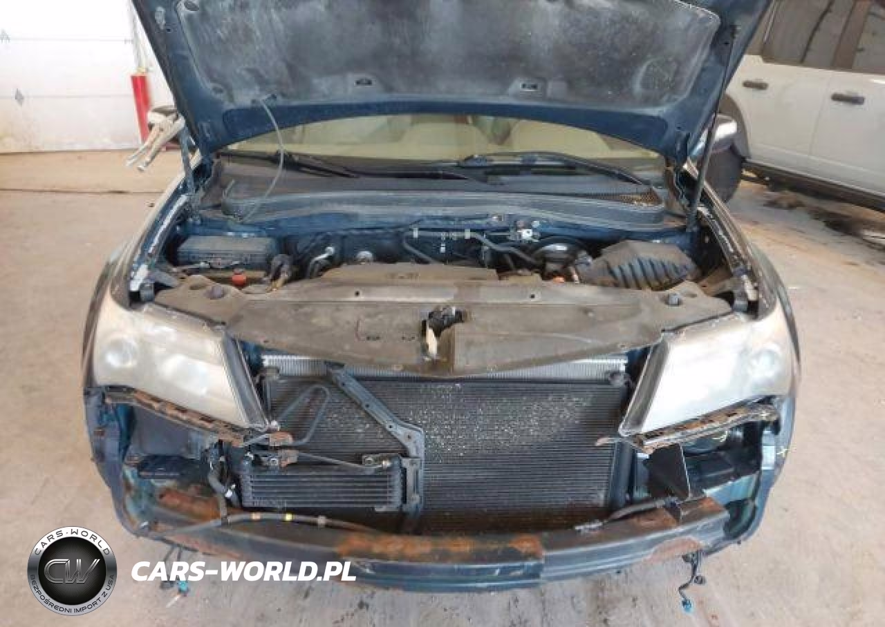 2010 Acura Mdx Technology VIN:2HNYD2H69AH004521 - 11