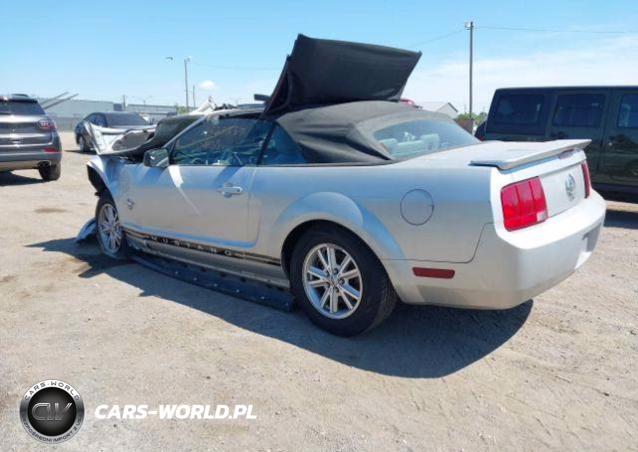 2009 Ford Mustang VIN:1ZVHT84N095112664 - 4