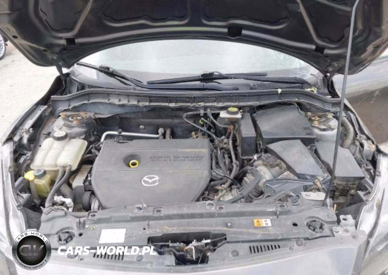 2010 Mazda 3 I VIN:JM1BL1HF8A1252458 - 11