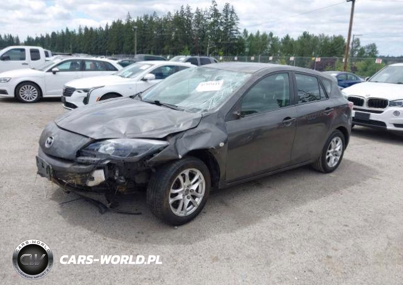 2010 Mazda 3 I VIN:JM1BL1HF8A1252458 - 3
