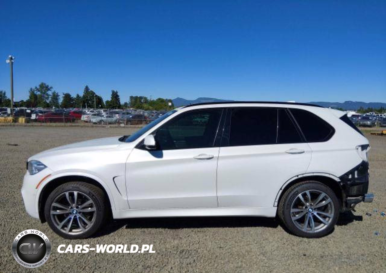 2018 BMW X5 xDrive35D VIN:5UXKS4C57J0Y19203 - 16