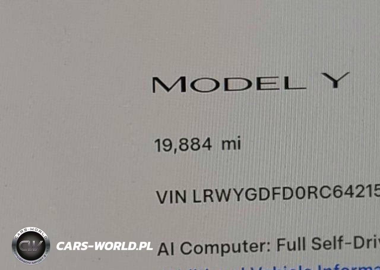 2024 Tesla Model Y Long Range-Rwd VIN:LRWYGDFD0RC642159 - 16