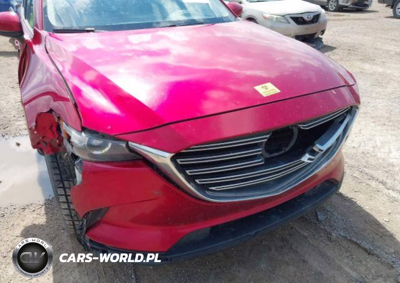 2018 Mazda Cx-9 Touring VIN:JM3TCBCY1J0219429 - 19