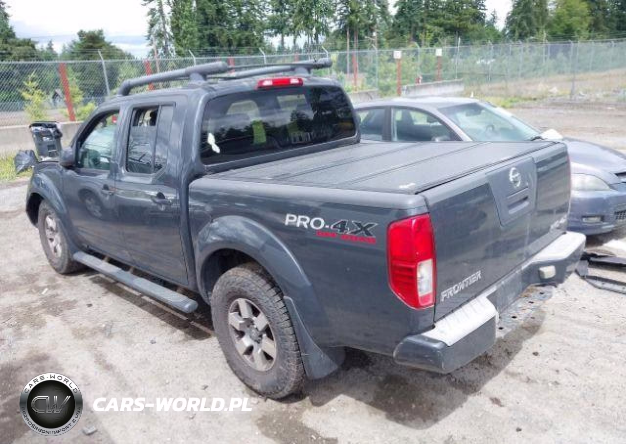 2010 Nissan Frontier Crew Cab Se-Le-Nismo VIN:1N6AD0EV7AC434166 - 4