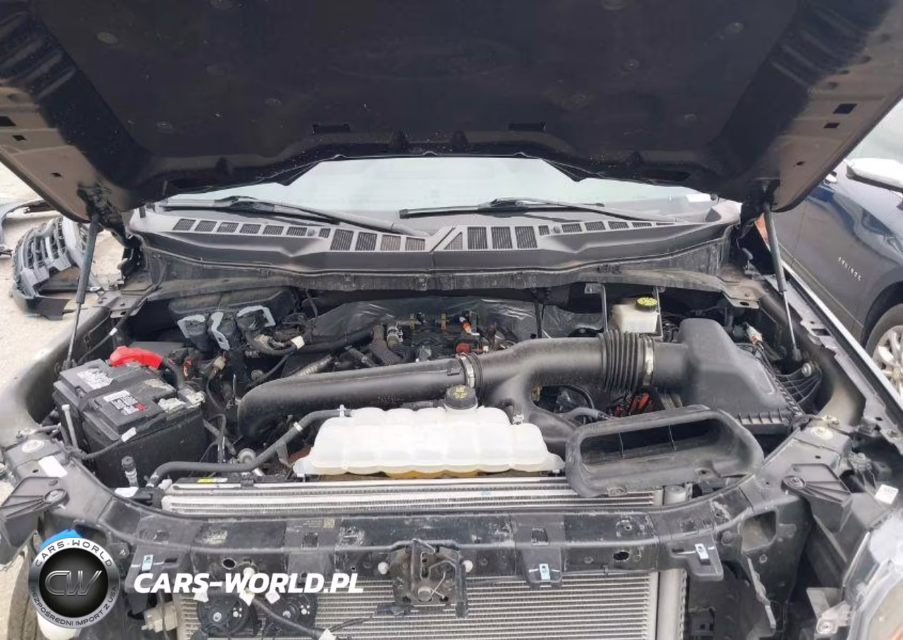 2024 Ford F-150 Xlt VIN:1FTFW3L85RFB31964 - 11