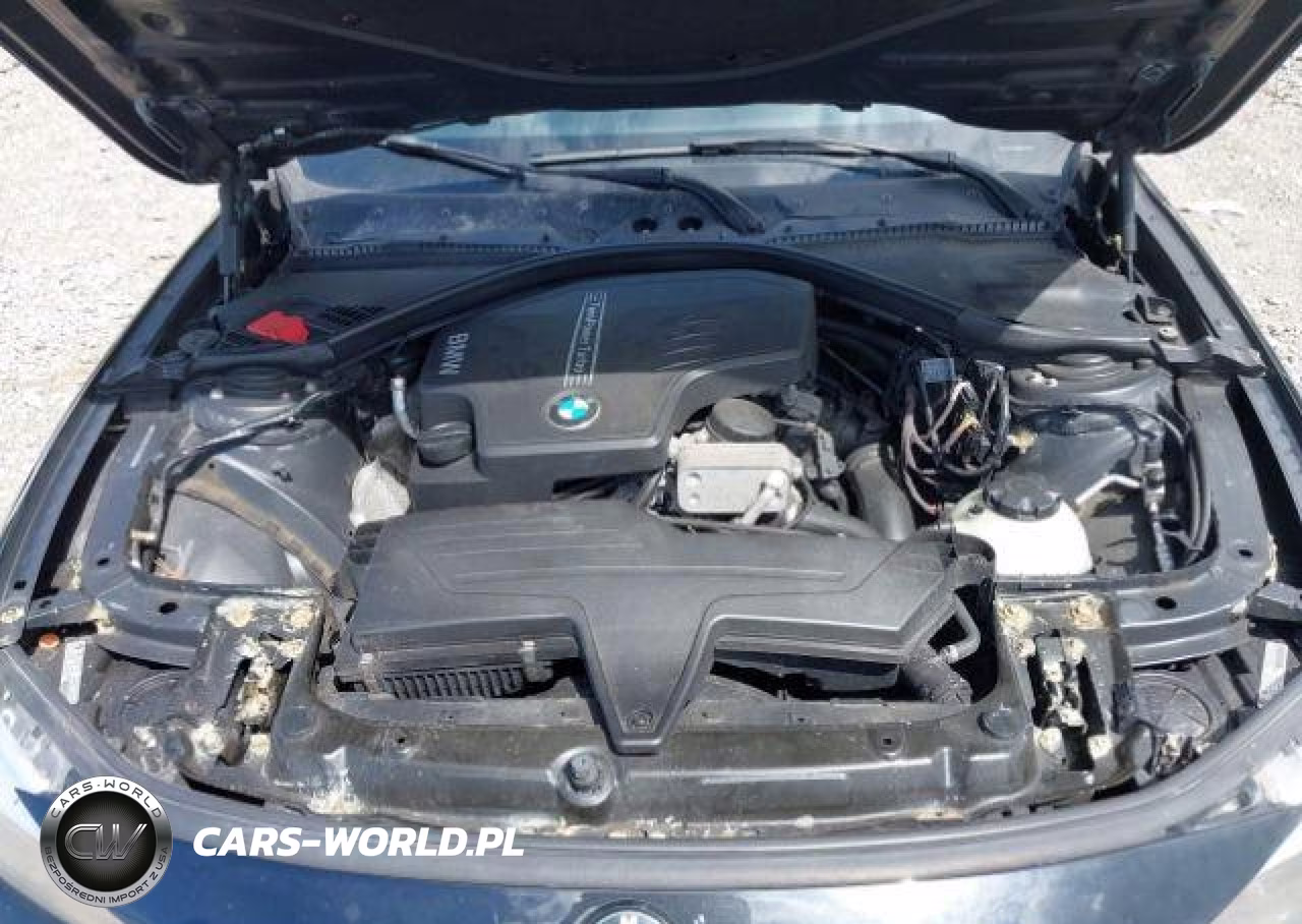 2012 BMW 320 I VIN:WBA3B1C54CFX99509 - 11