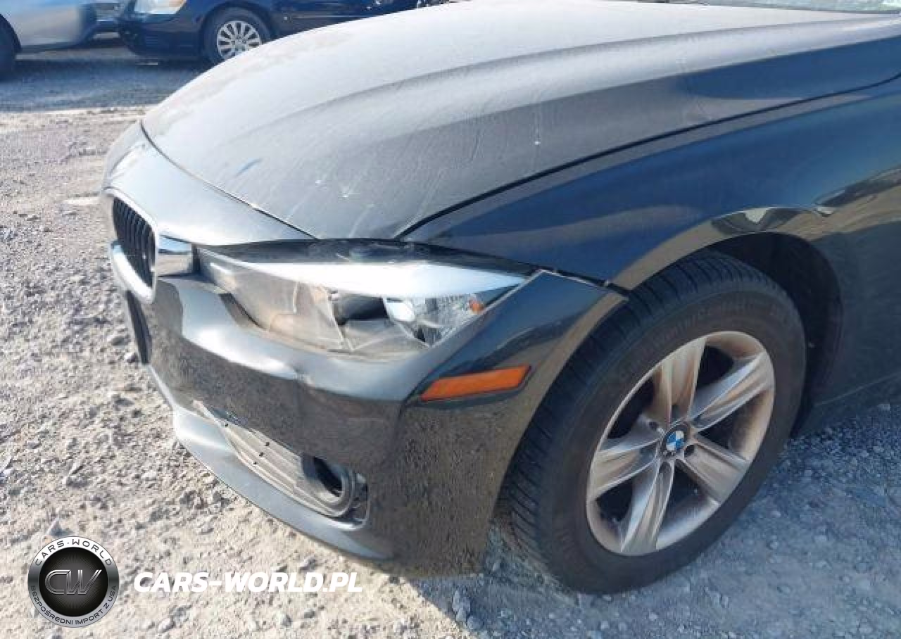 2012 BMW 320 I VIN:WBA3B1C54CFX99509 - 19