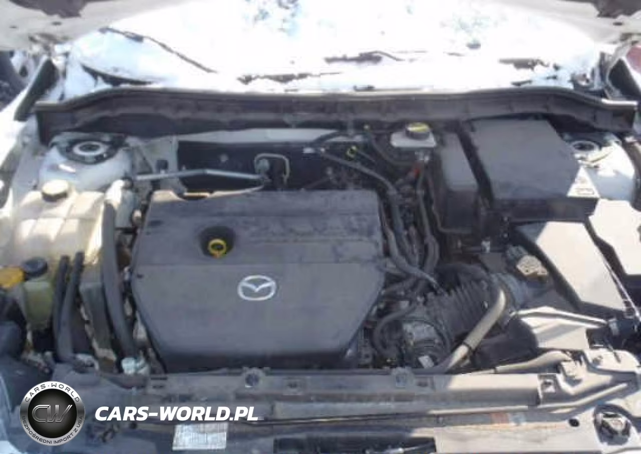 2010 Mazda 3 Mazda3S VIN:JM1BL1S56A1206577 - 10