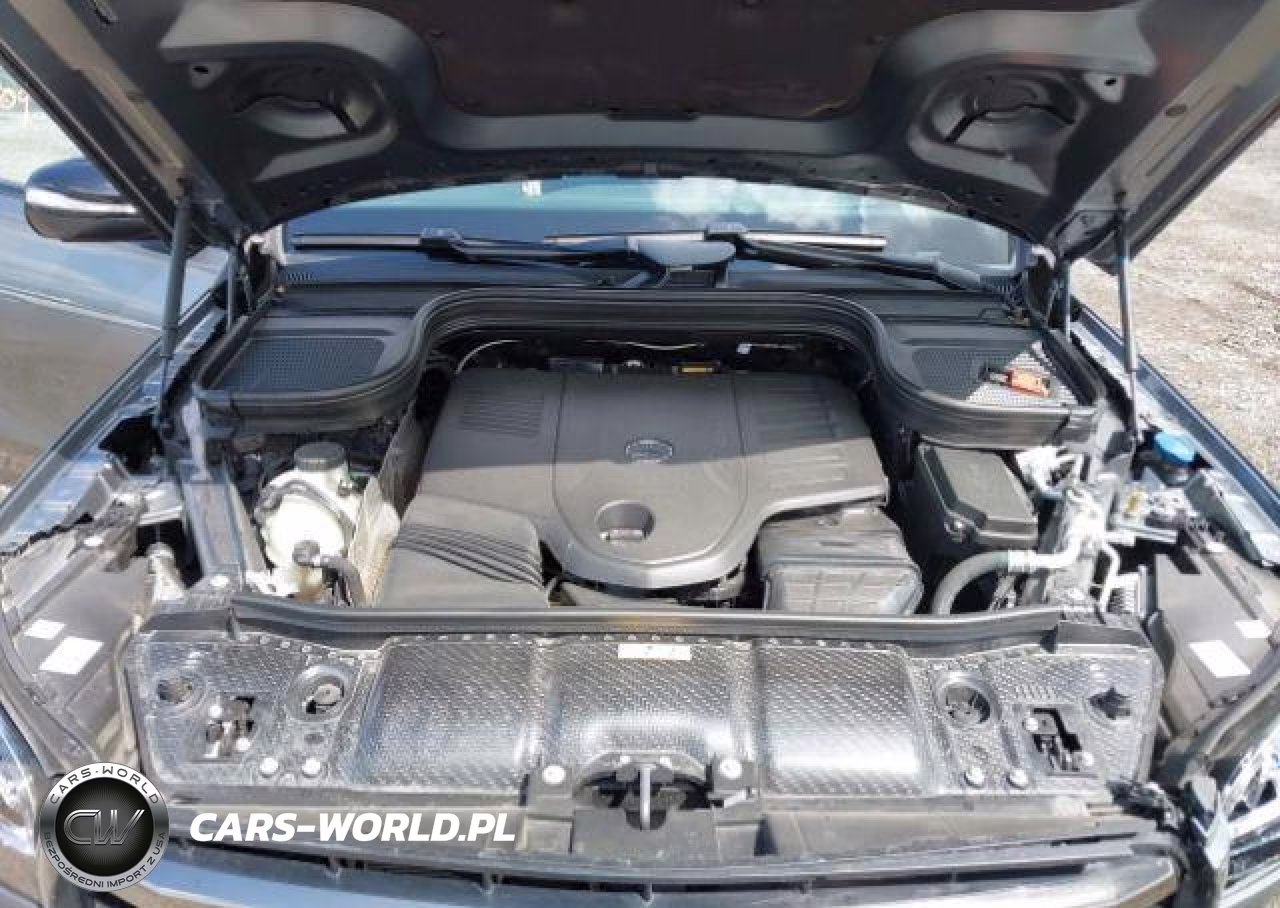 2025 Mercedes-Benz Gls 450 4Matic VIN:4JGFF5KE0SB359804 - 11