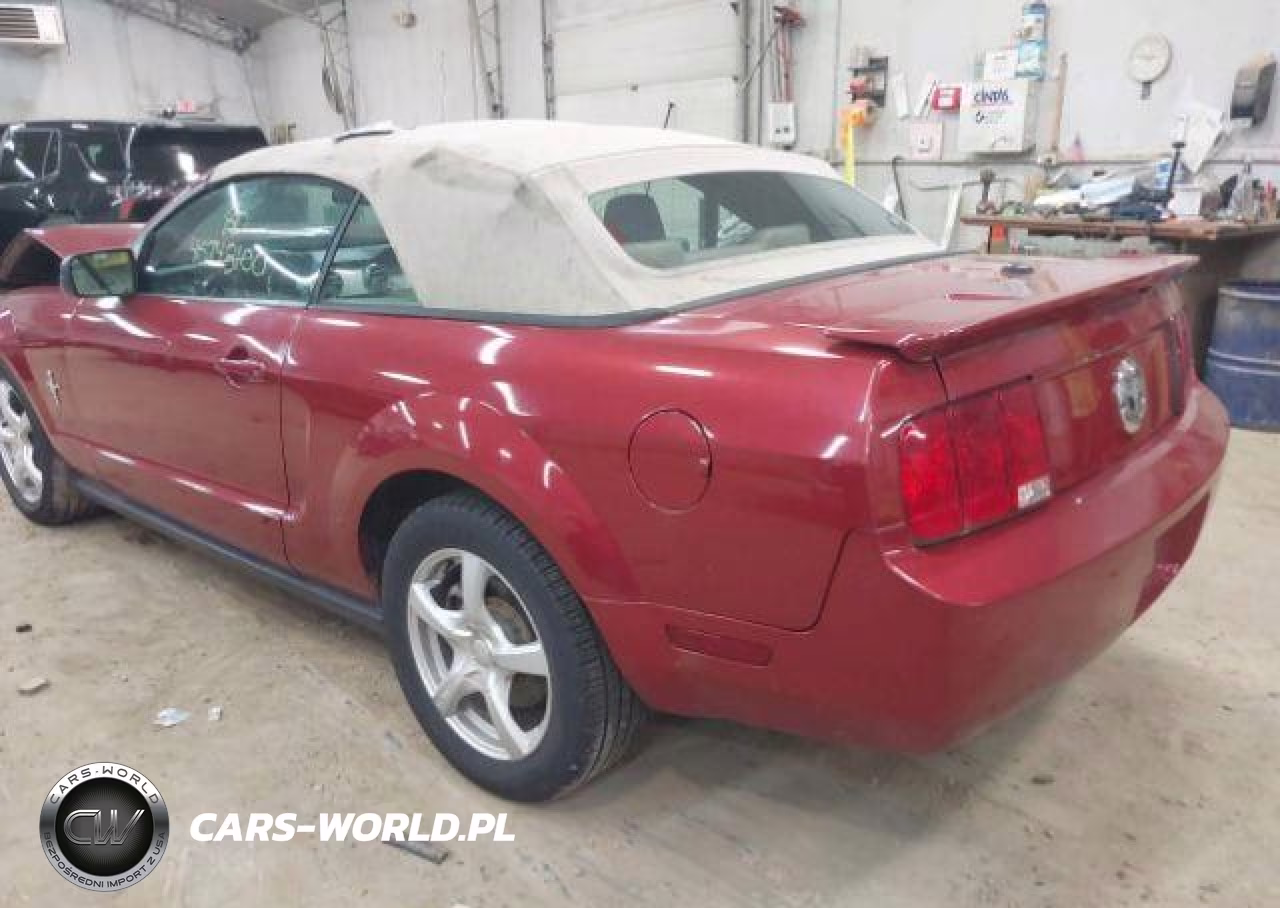 2008 Ford Mustang VIN:1ZVHT84N185123459 - 4