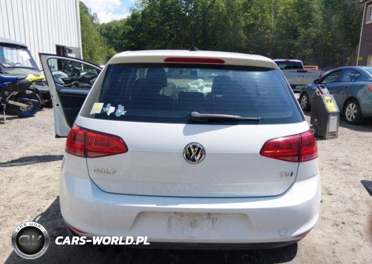 2015 Volkswagen Golf Tdi VIN:3VWRA7AU7FM013037 - 17
