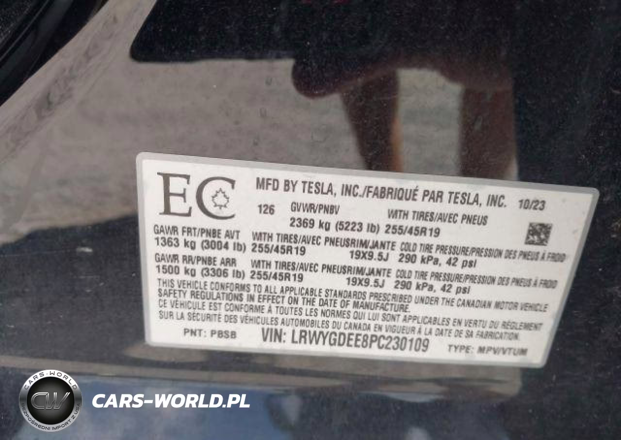 2023 Tesla Model Y Long Range VIN:LRWYGDEE8PC230109 - 10