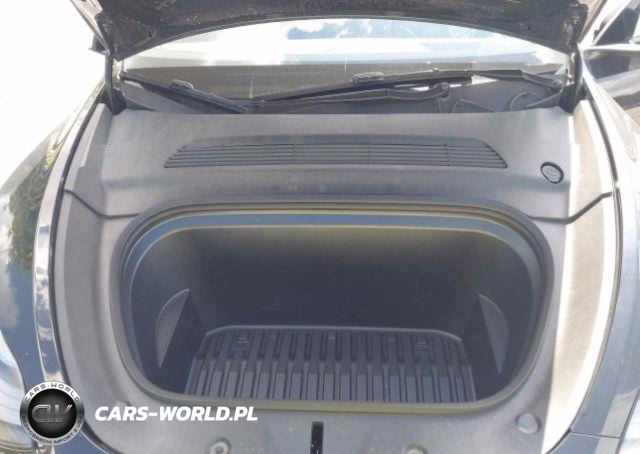 2023 Tesla Model Y Long Range VIN:LRWYGDEE8PC230109 - 11