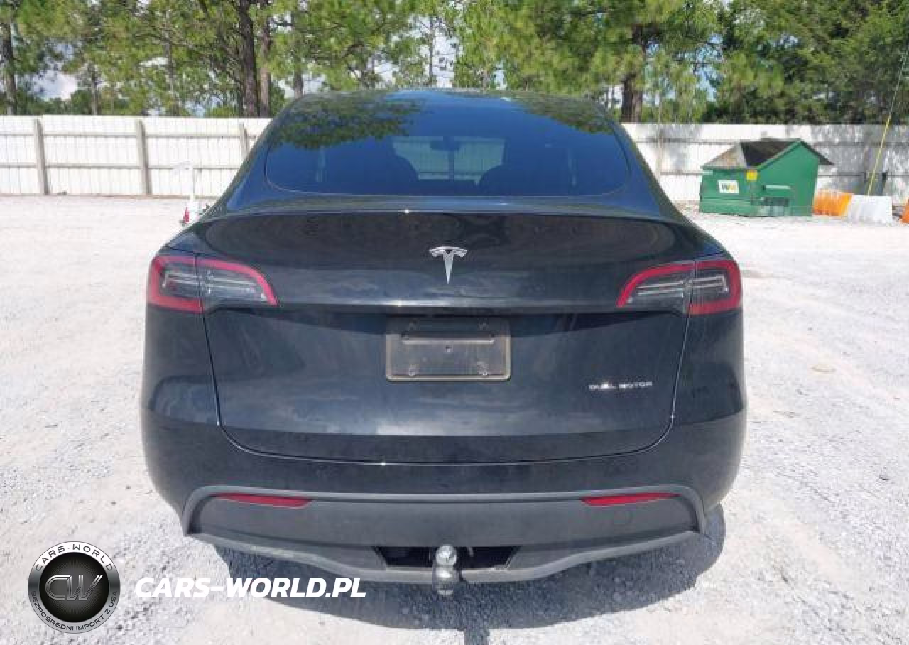 2023 Tesla Model Y Long Range VIN:LRWYGDEE8PC230109 - 17