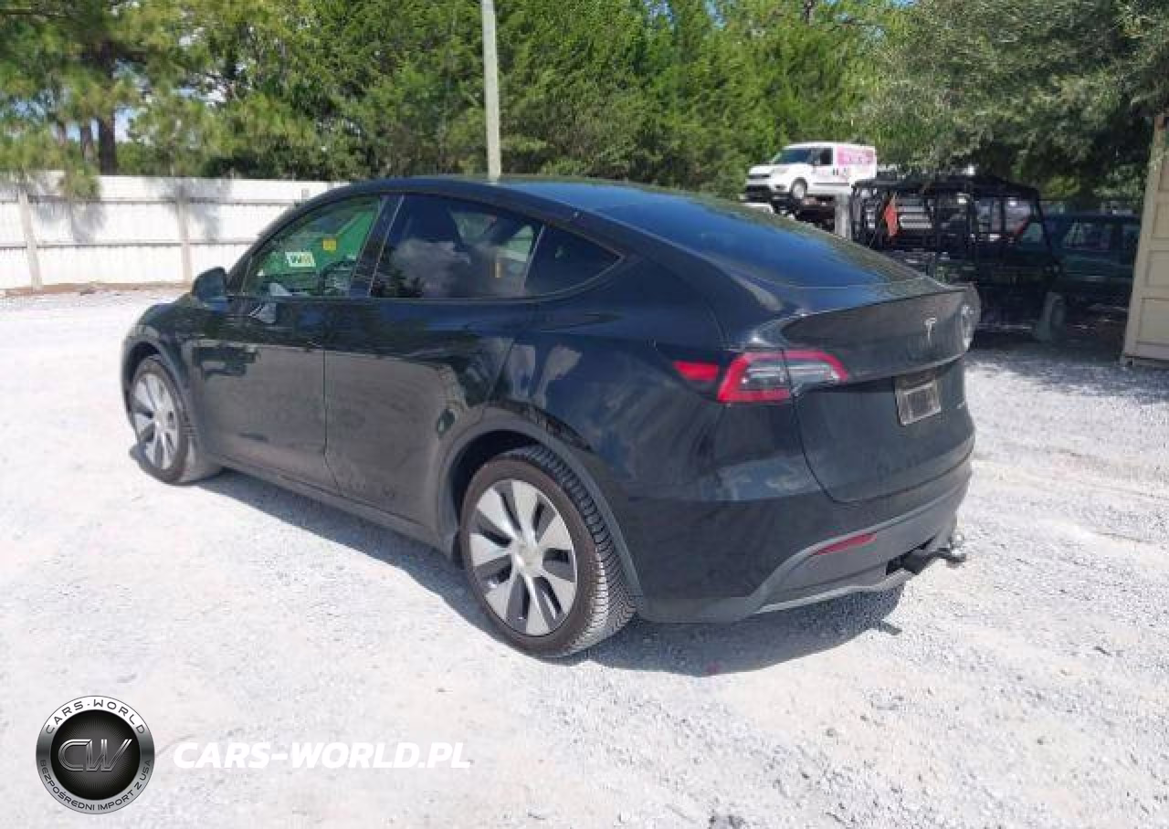 2023 Tesla Model Y Long Range VIN:LRWYGDEE8PC230109 - 4