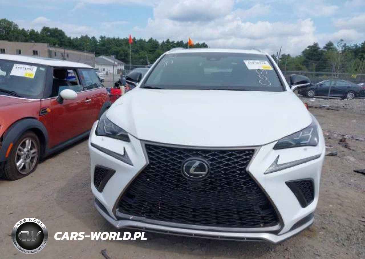 2018 Lexus Nx 300 VIN:JTJBARBZ7J2175242 - 13