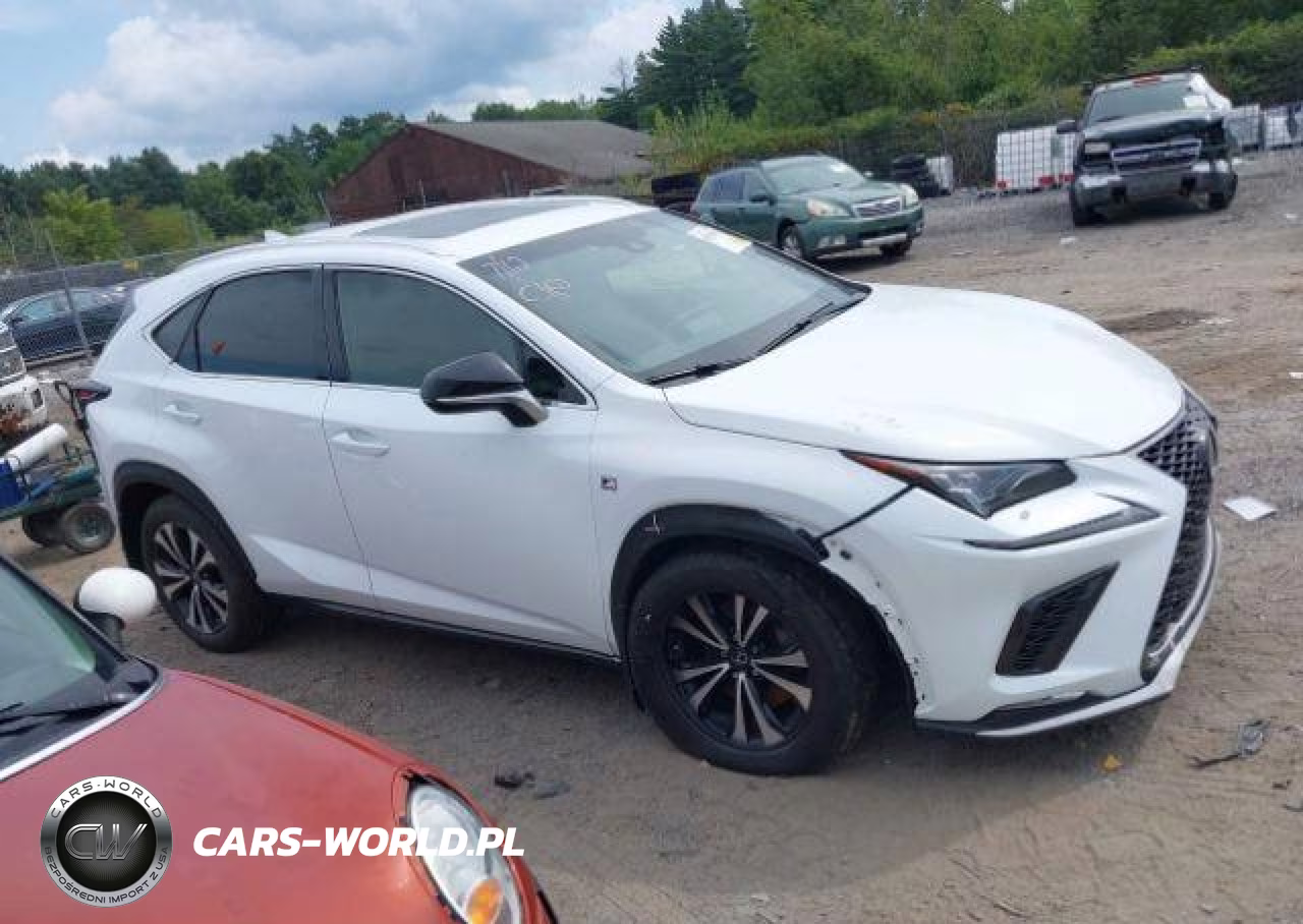 2018 Lexus Nx 300 VIN:JTJBARBZ7J2175242 - 14
