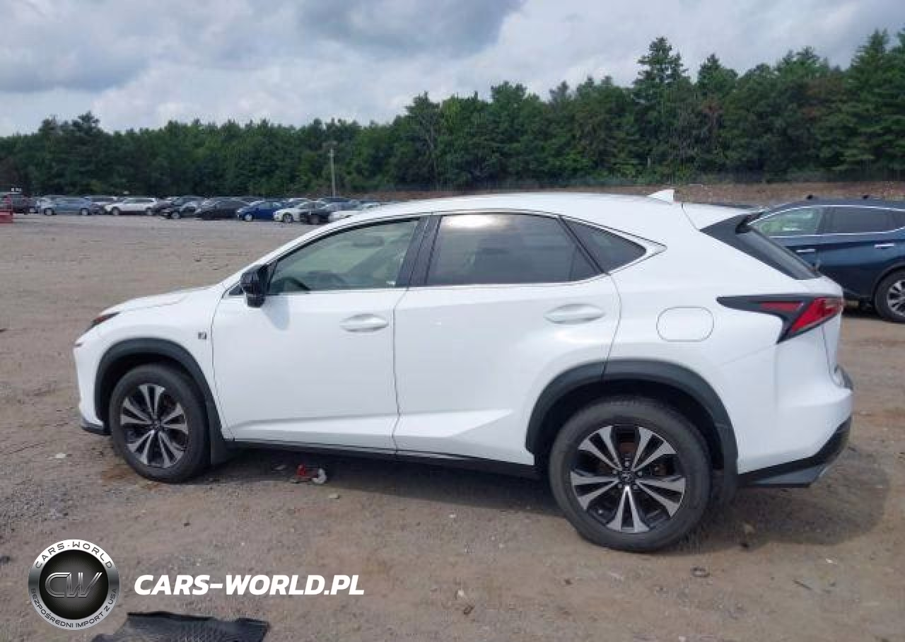 2018 Lexus Nx 300 VIN:JTJBARBZ7J2175242 - 15